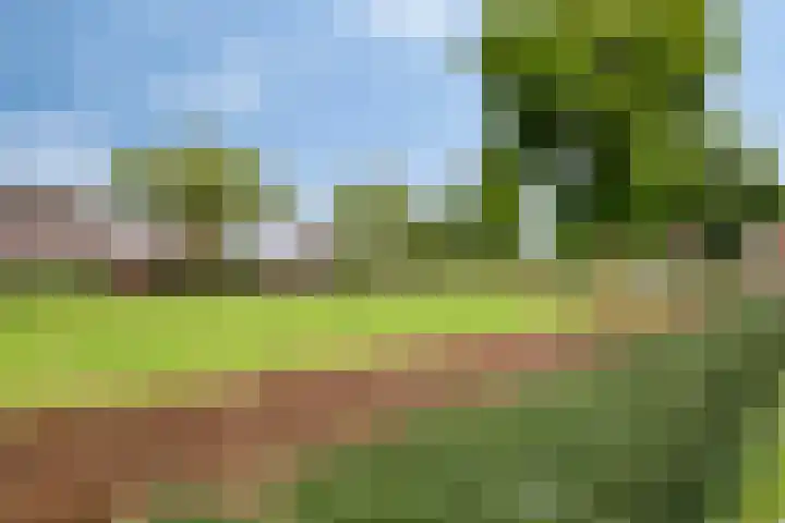 Ericaplein 106 Grubbenvorst thumbnail 49