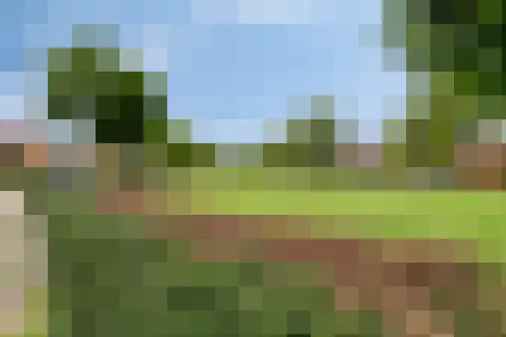 Ericaplein 106 Grubbenvorst thumbnail 50