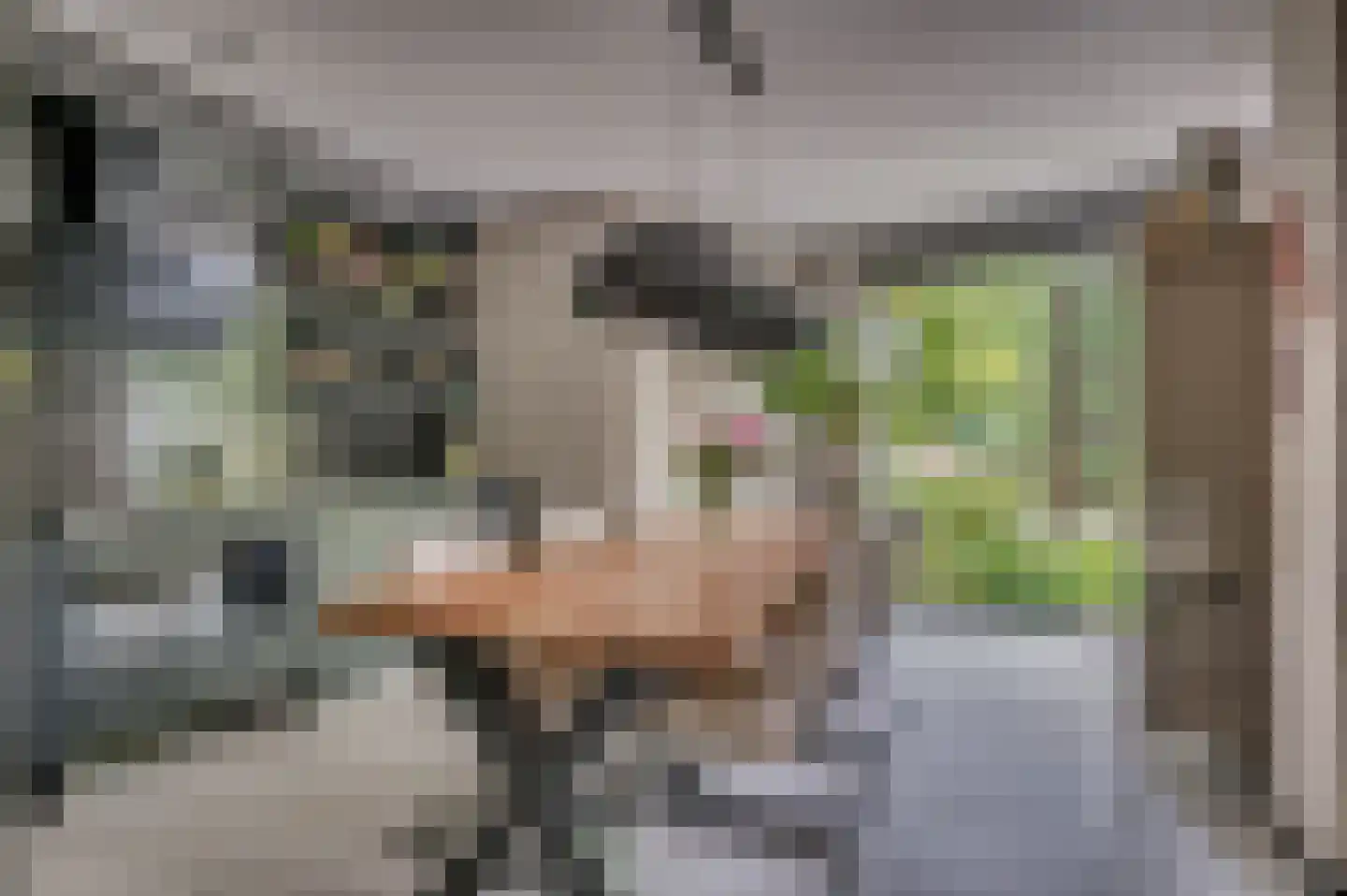 Ericaplein 25 Grubbenvorst thumbnail 11