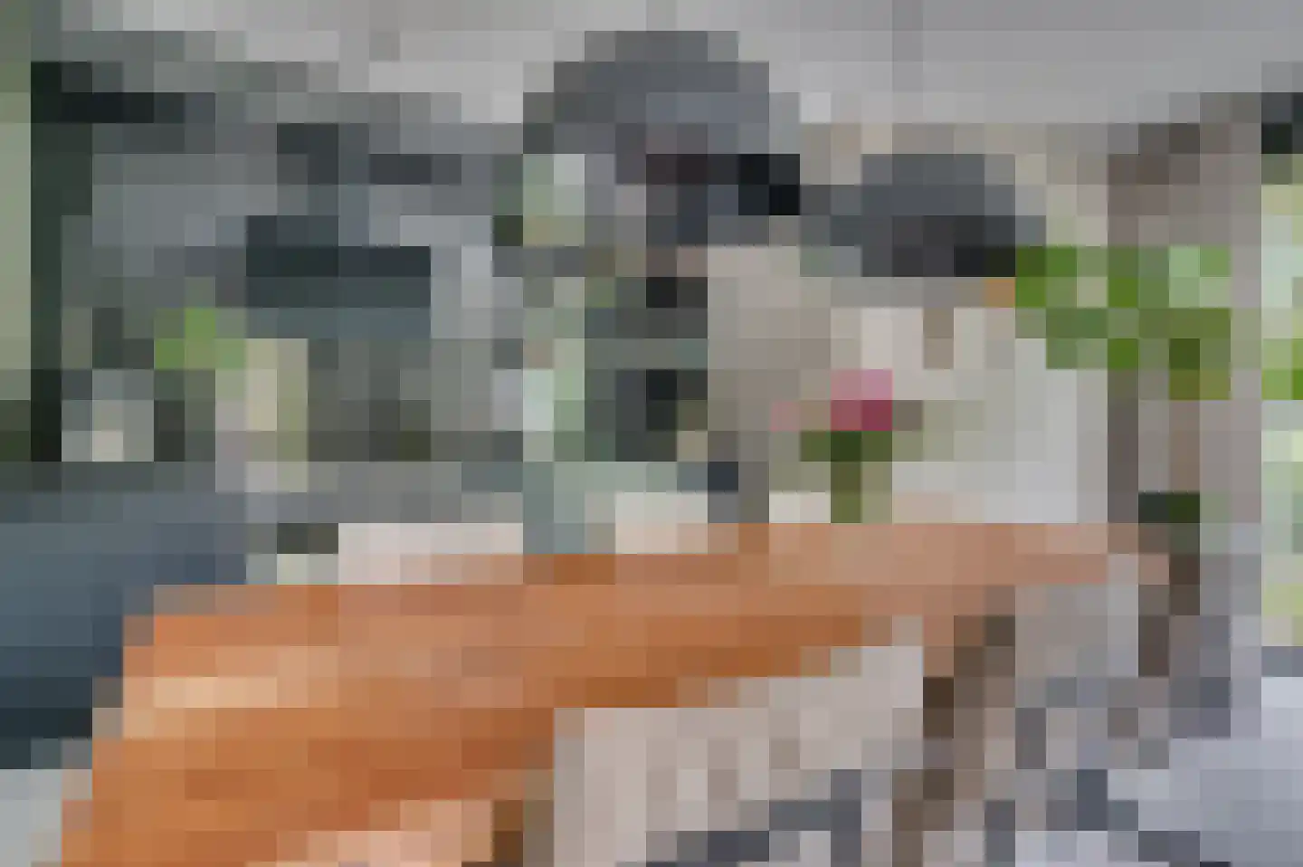 Ericaplein 25 Grubbenvorst thumbnail 12
