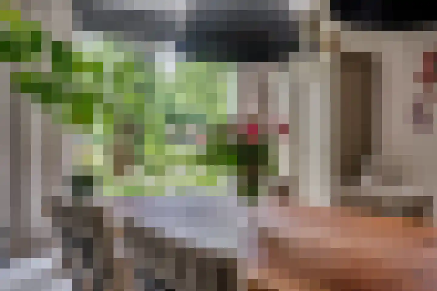 Ericaplein 25 Grubbenvorst thumbnail 13