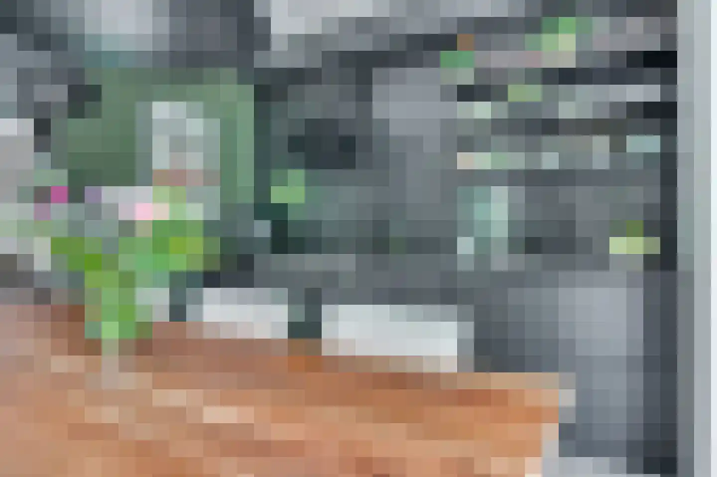Ericaplein 25 Grubbenvorst thumbnail 14