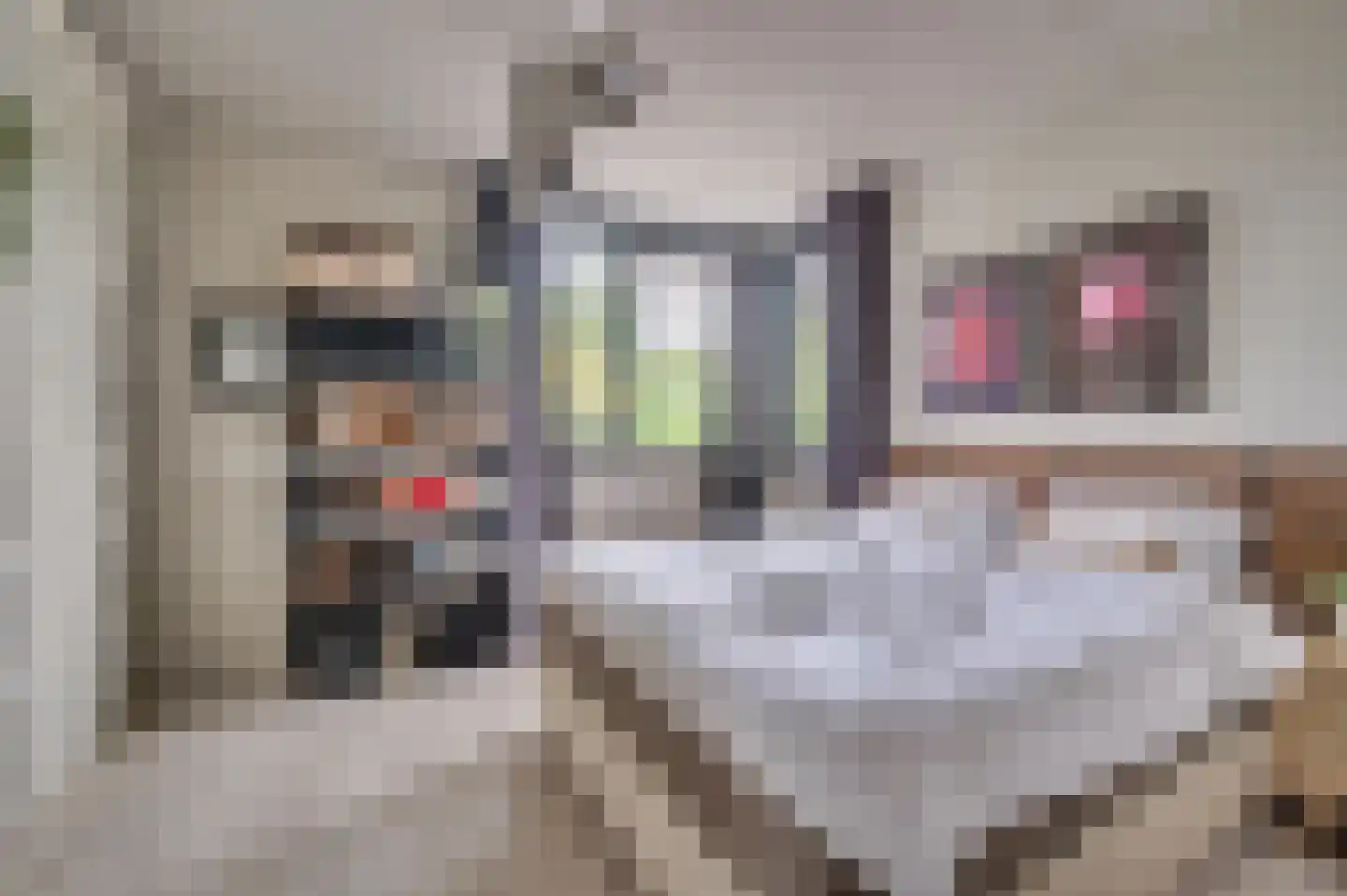 Ericaplein 25 Grubbenvorst thumbnail 17