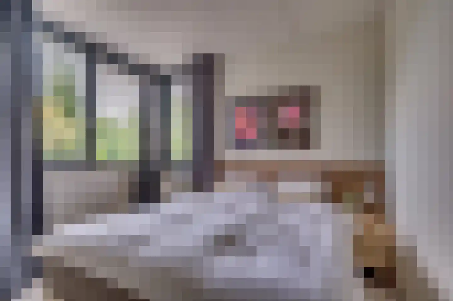 Ericaplein 25 Grubbenvorst thumbnail 18