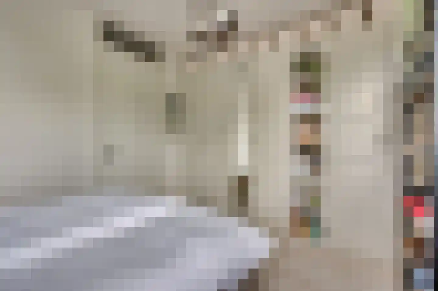 Ericaplein 25 Grubbenvorst thumbnail 20
