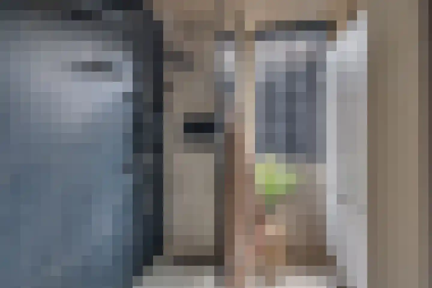 Ericaplein 25 Grubbenvorst thumbnail 21
