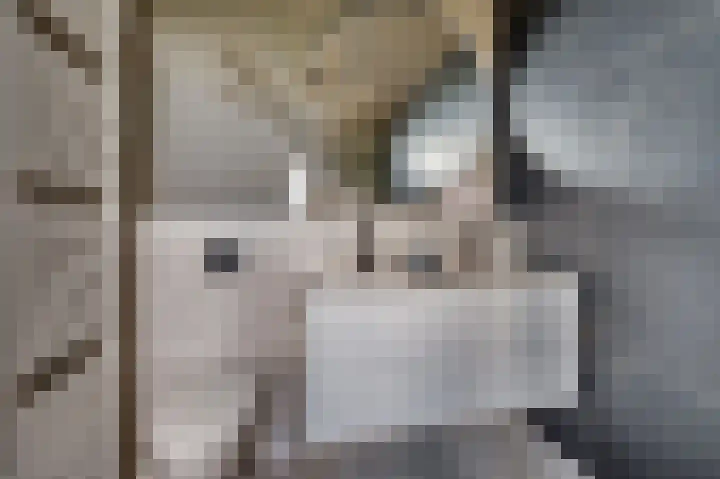 Ericaplein 25 Grubbenvorst thumbnail 22