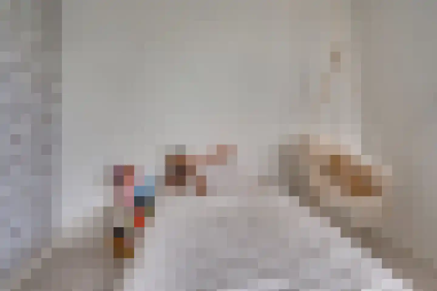Ericaplein 25 Grubbenvorst thumbnail 28