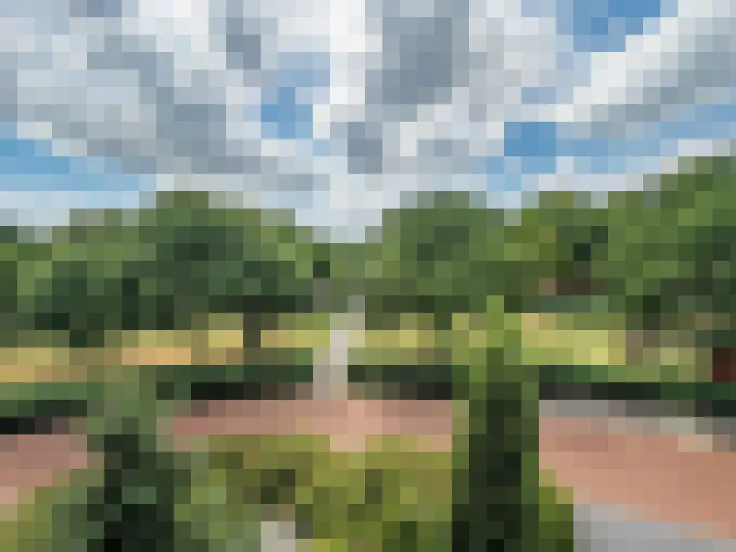 Ericaplein 25 Grubbenvorst thumbnail 29
