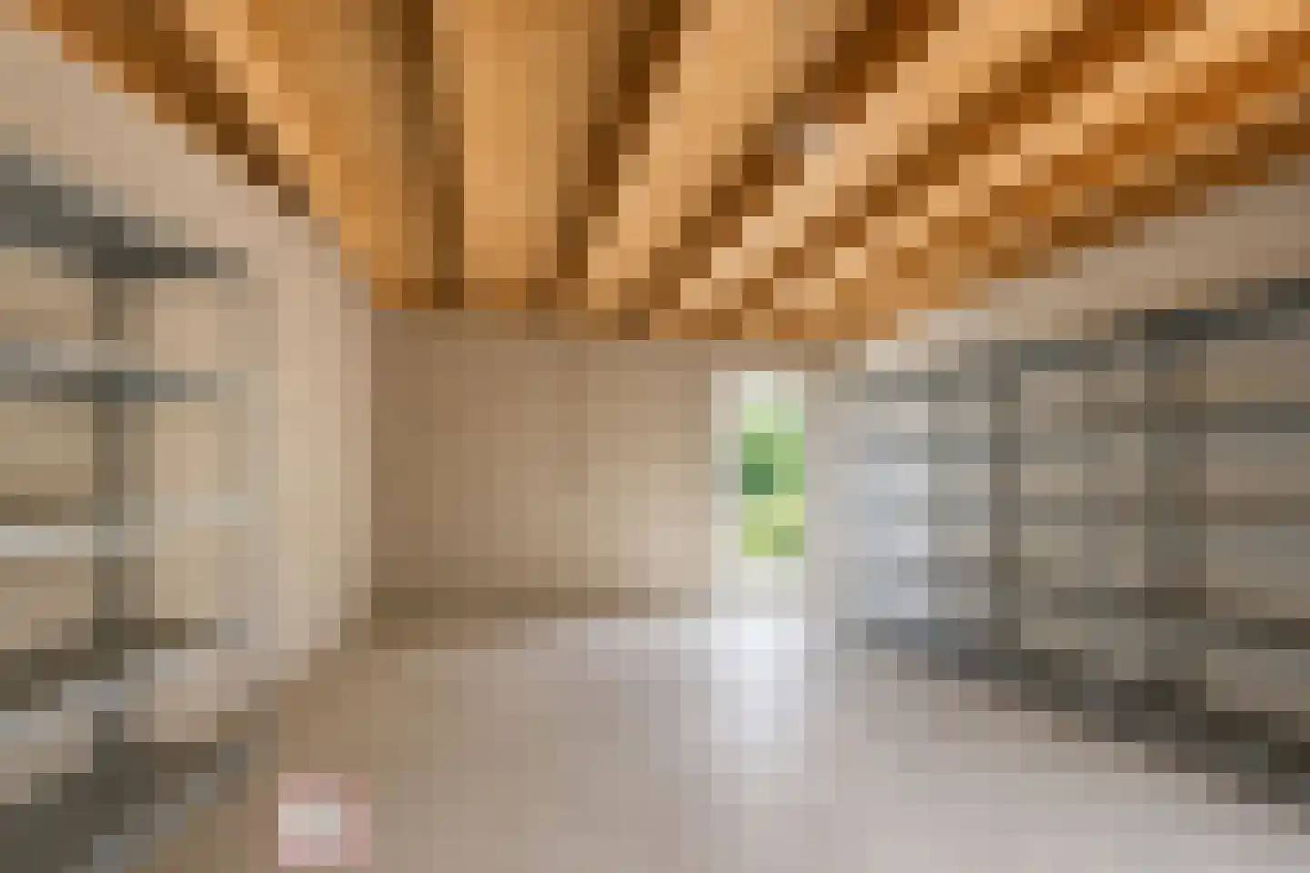 Ericaplein 25 Grubbenvorst thumbnail 32