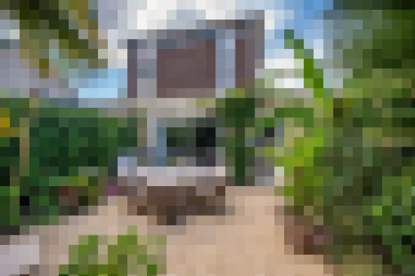 Ericaplein 25 Grubbenvorst thumbnail 34
