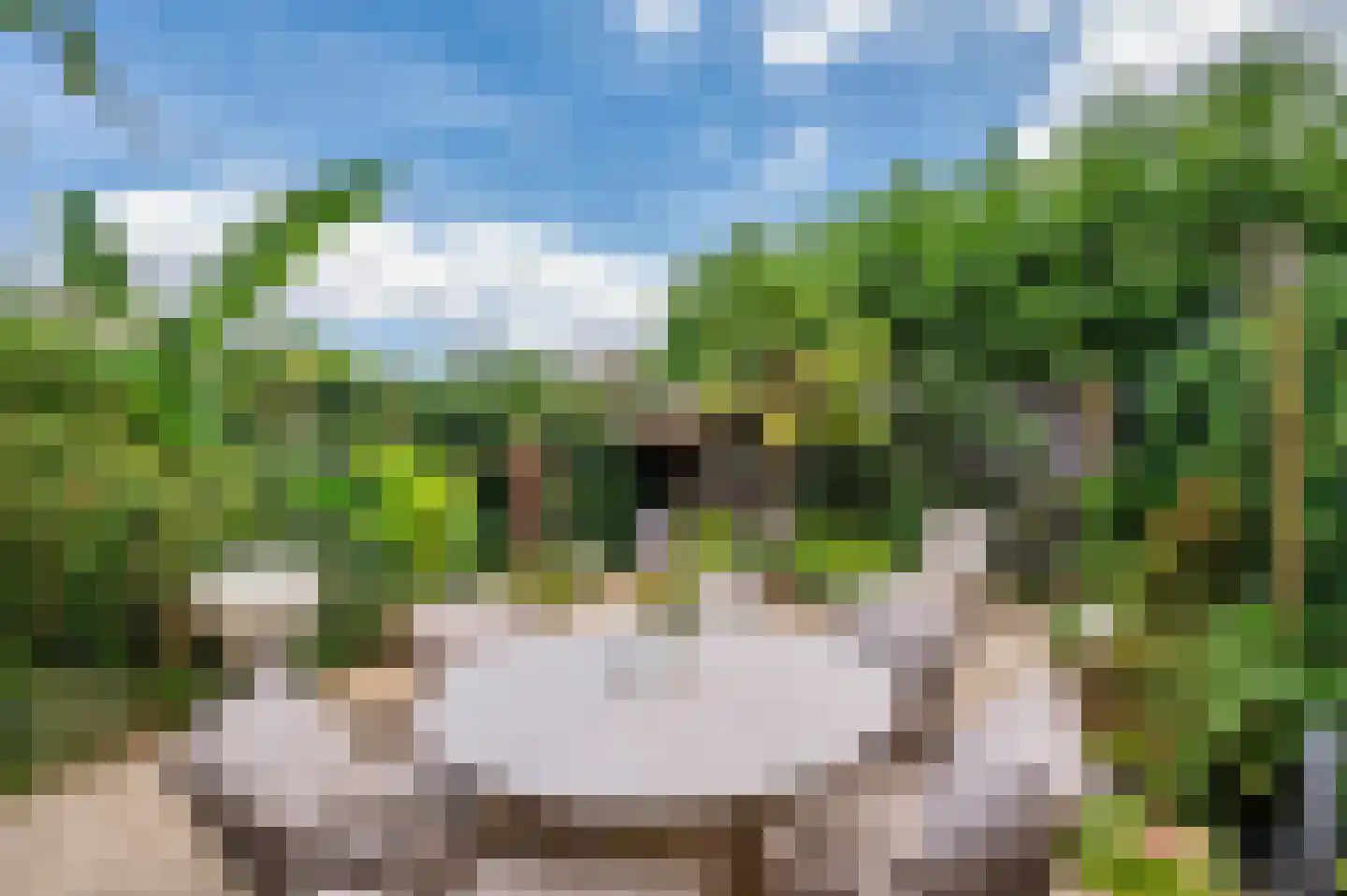 Ericaplein 25 Grubbenvorst thumbnail 37