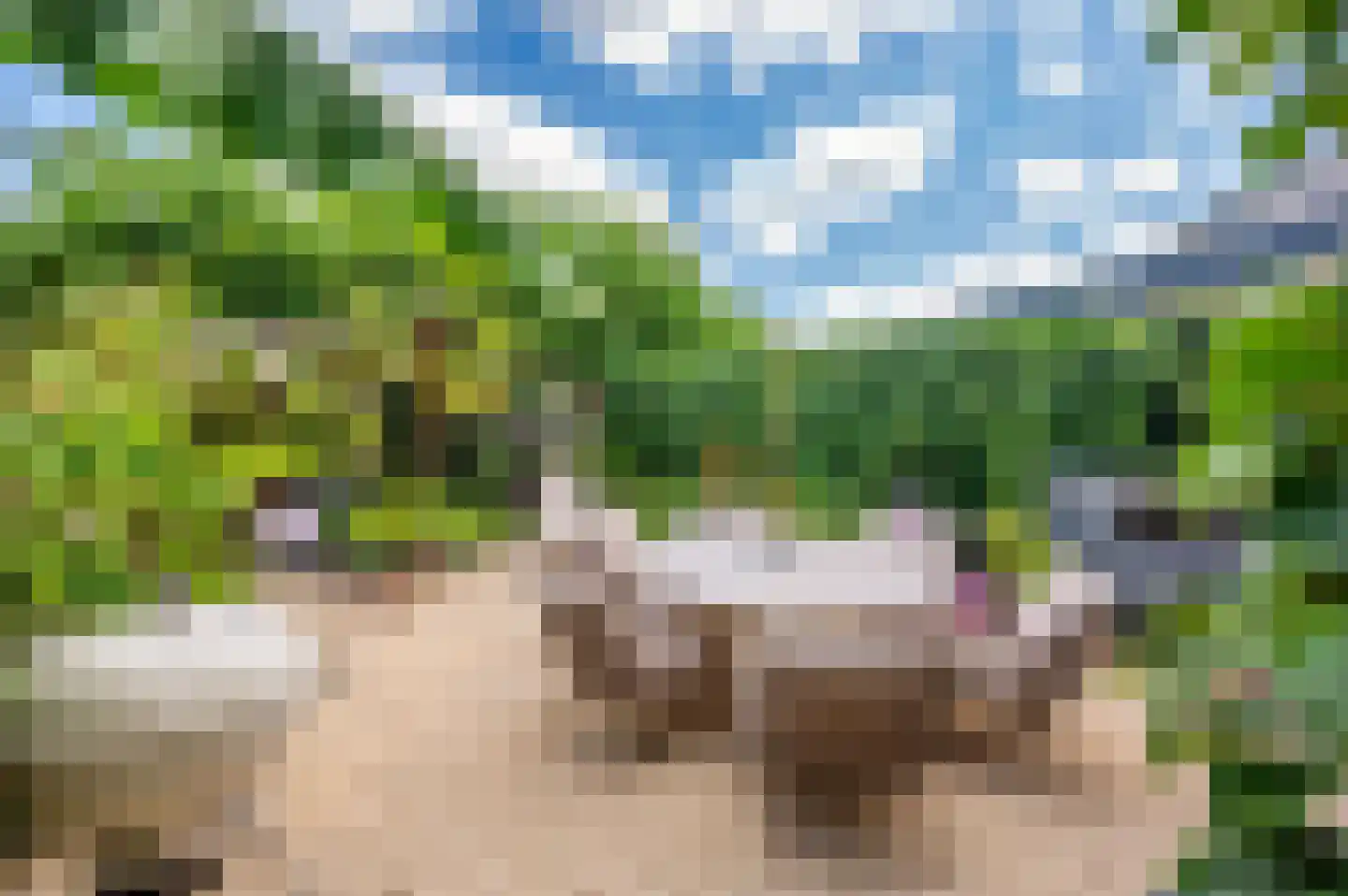 Ericaplein 25 Grubbenvorst thumbnail 38