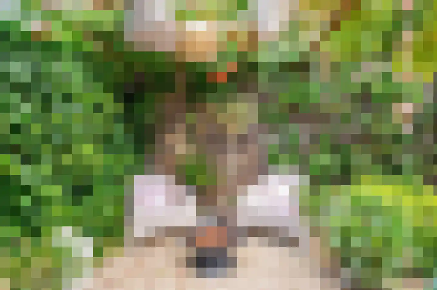 Ericaplein 25 Grubbenvorst thumbnail 40
