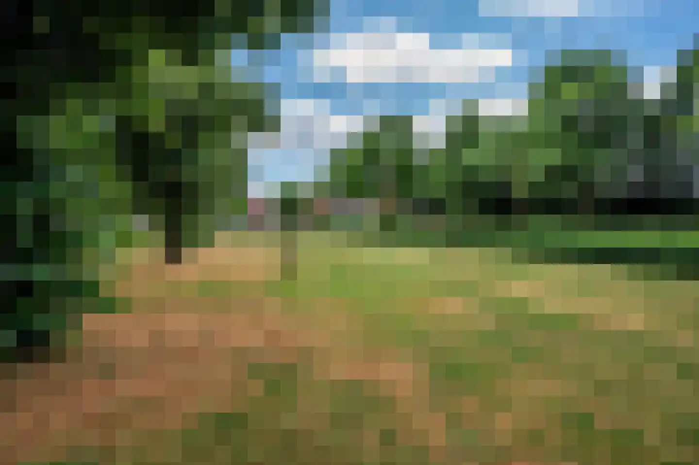 Ericaplein 25 Grubbenvorst thumbnail 41