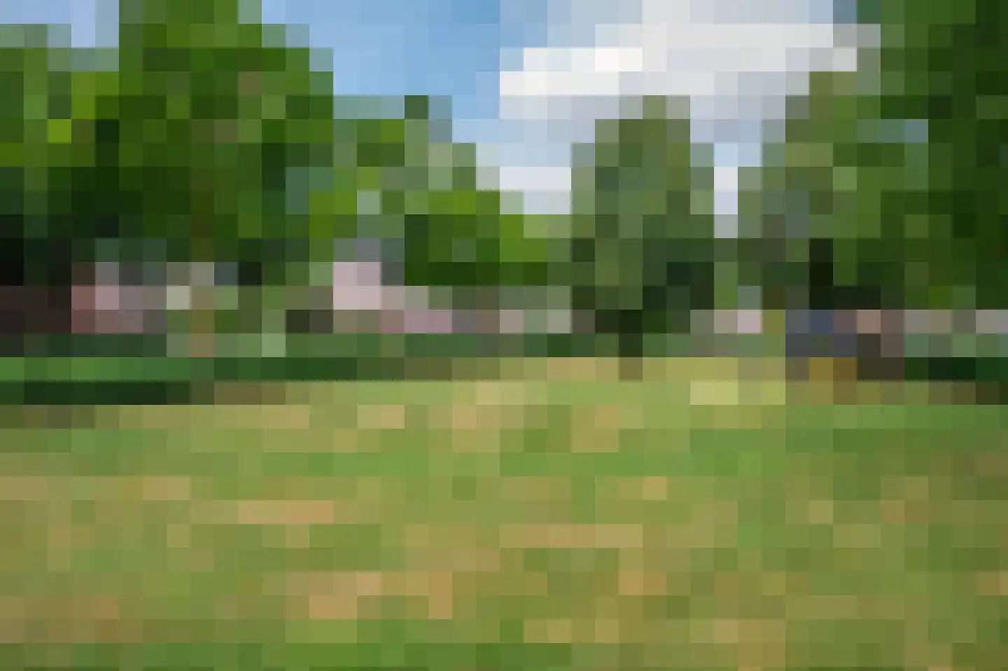 Ericaplein 25 Grubbenvorst thumbnail 42
