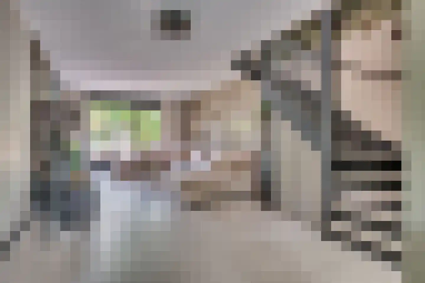 Ericaplein 25 Grubbenvorst thumbnail 5