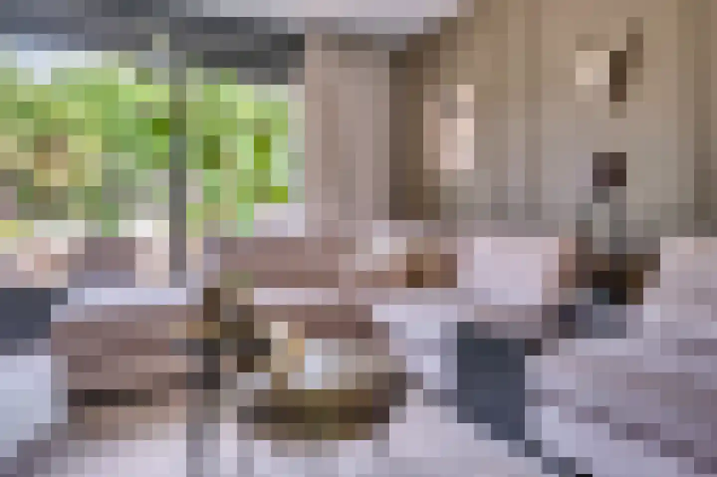 Ericaplein 25 Grubbenvorst thumbnail 7