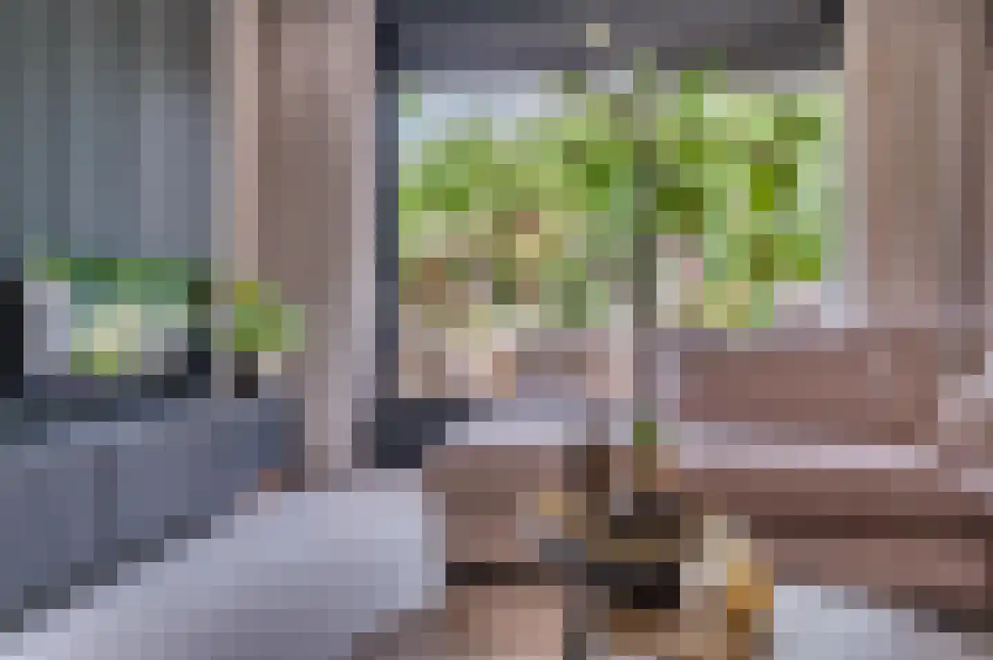 Ericaplein 25 Grubbenvorst thumbnail 8