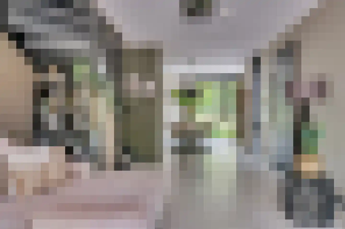 Ericaplein 25 Grubbenvorst thumbnail 9