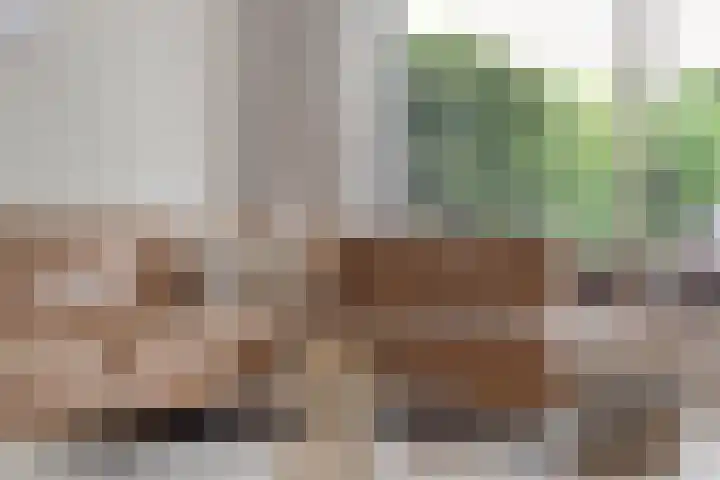 Ericaplein 27 Grubbenvorst thumbnail 12
