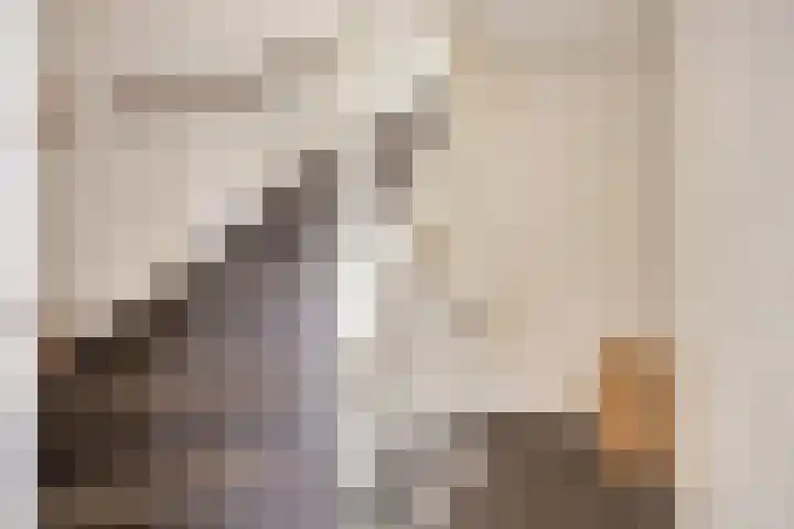 Ericaplein 27 Grubbenvorst thumbnail 23