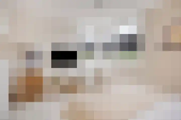 Ericaplein 27 Grubbenvorst thumbnail 25