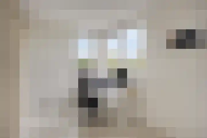 Ericaplein 27 Grubbenvorst thumbnail 31