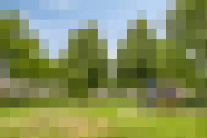 Ericaplein 27 Grubbenvorst thumbnail 44