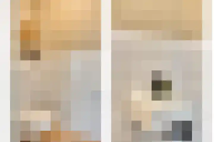 Ericaplein 27 Grubbenvorst thumbnail 7