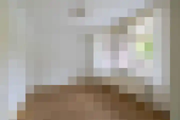Ericaplein 30 Grubbenvorst thumbnail 10