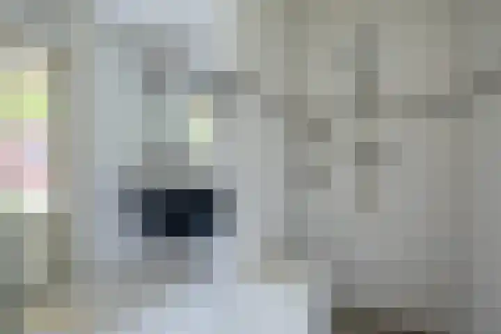 Ericaplein 30 Grubbenvorst thumbnail 11