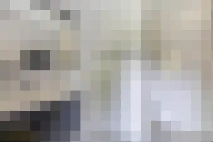 Ericaplein 30 Grubbenvorst thumbnail 12