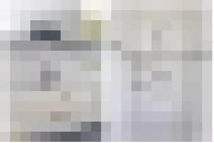 Ericaplein 30 Grubbenvorst thumbnail 13