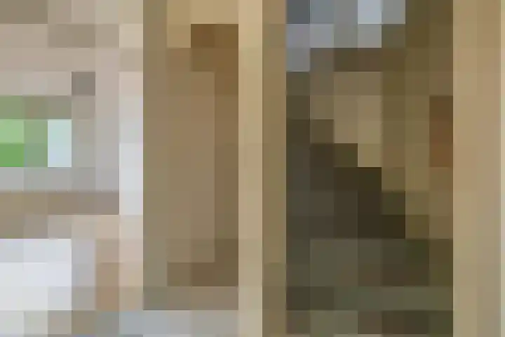 Ericaplein 30 Grubbenvorst thumbnail 16