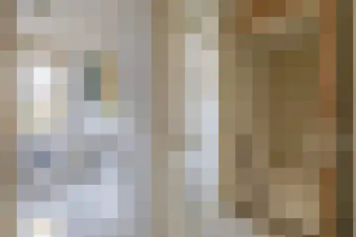 Ericaplein 30 Grubbenvorst thumbnail 17