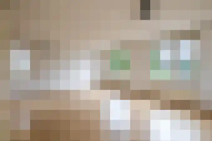 Ericaplein 30 Grubbenvorst thumbnail 18