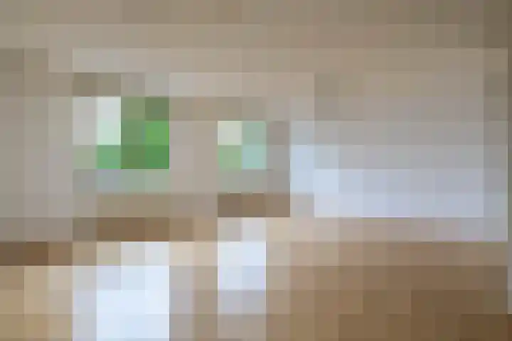 Ericaplein 30 Grubbenvorst thumbnail 19