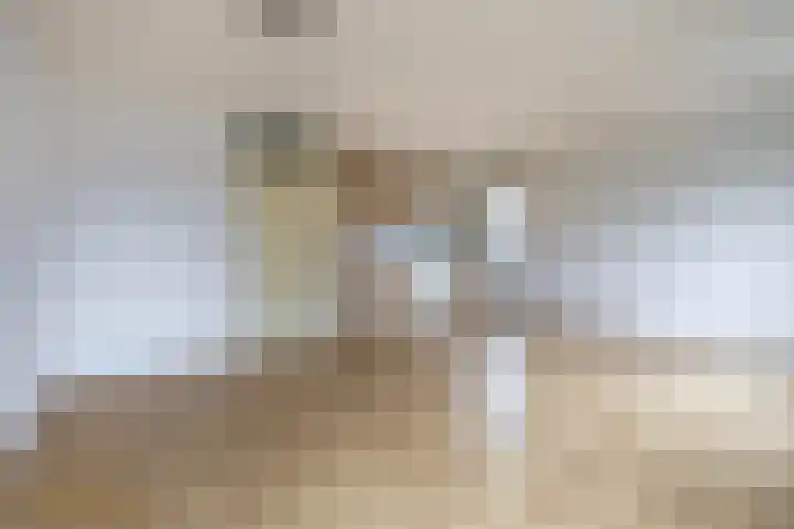 Ericaplein 30 Grubbenvorst thumbnail 20