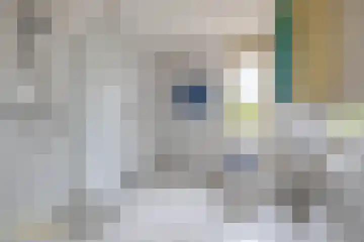 Ericaplein 30 Grubbenvorst thumbnail 21