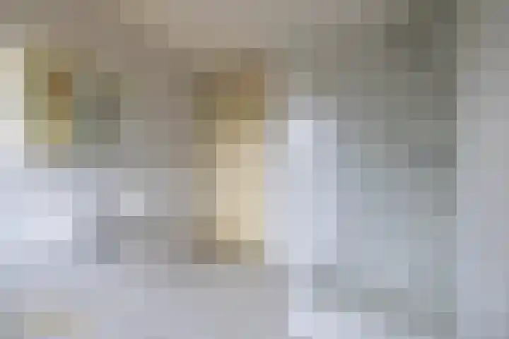 Ericaplein 30 Grubbenvorst thumbnail 22