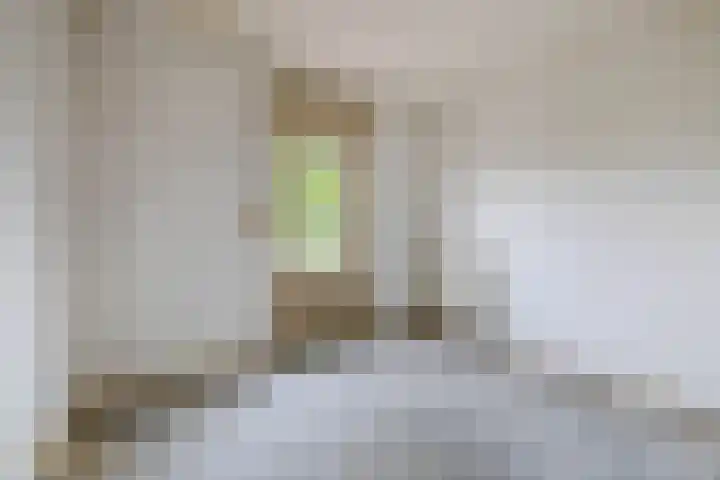 Ericaplein 30 Grubbenvorst thumbnail 24