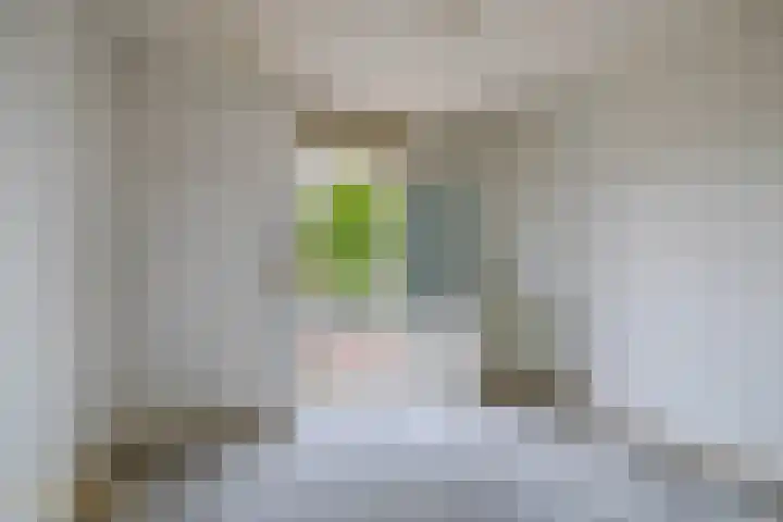 Ericaplein 30 Grubbenvorst thumbnail 25