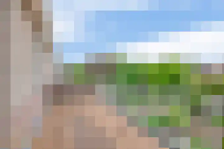 Ericaplein 30 Grubbenvorst thumbnail 26