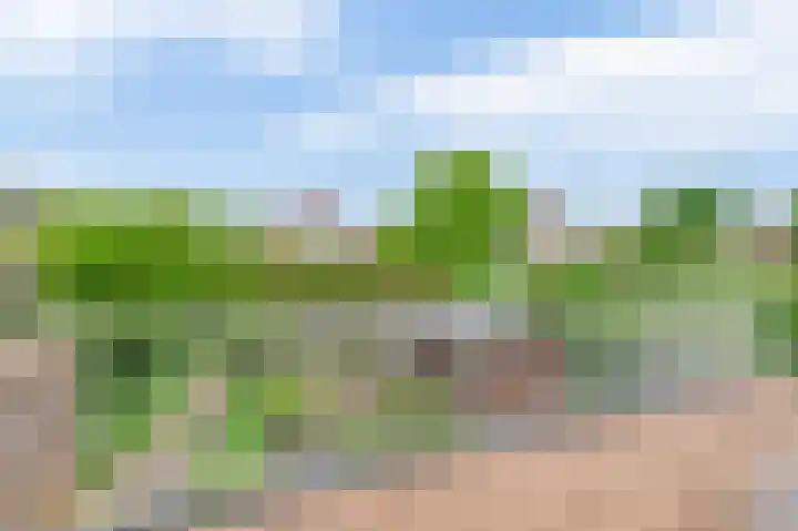 Ericaplein 30 Grubbenvorst thumbnail 27