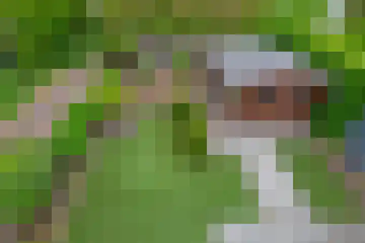 Ericaplein 30 Grubbenvorst thumbnail 28
