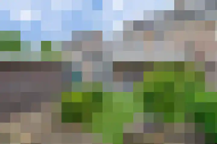 Ericaplein 30 Grubbenvorst thumbnail 31