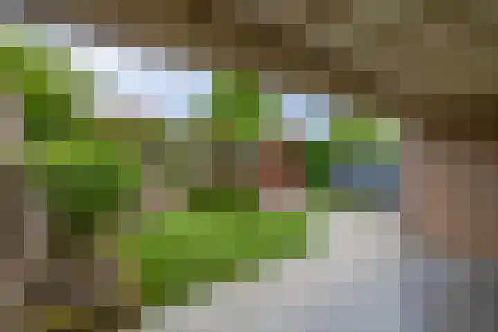 Ericaplein 30 Grubbenvorst thumbnail 33