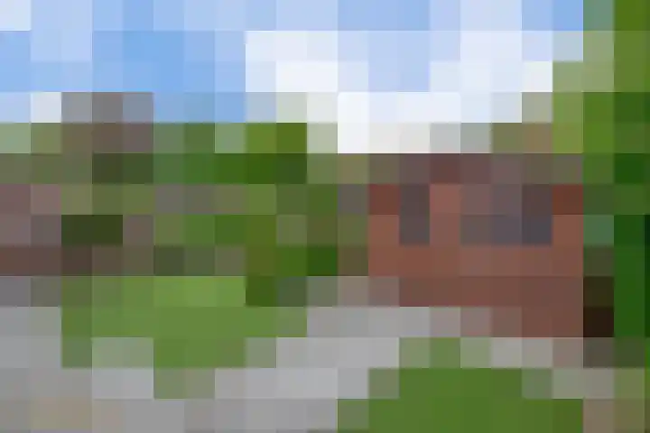 Ericaplein 30 Grubbenvorst thumbnail 34