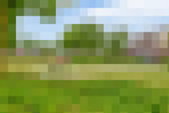 Ericaplein 30 Grubbenvorst thumbnail 39
